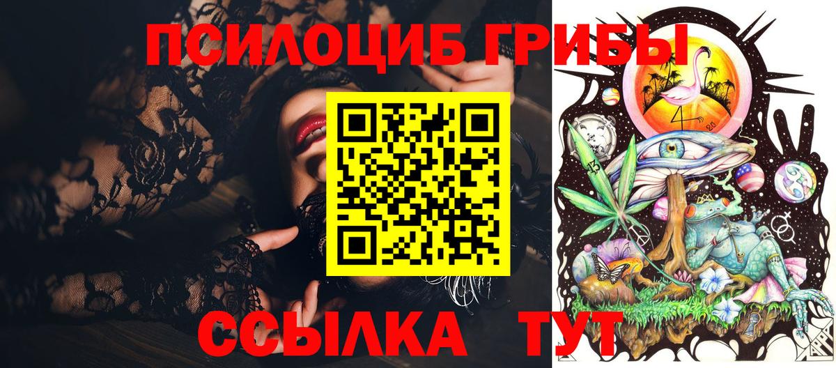 Курчатов  Галлюциногенные грибы GOLDEN TEACHER  Вход с VPN 
