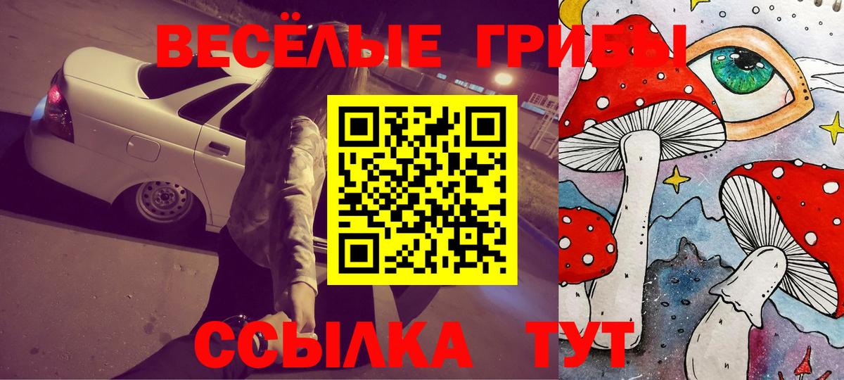 Галлюциногенные грибы ЛСД Курчатов